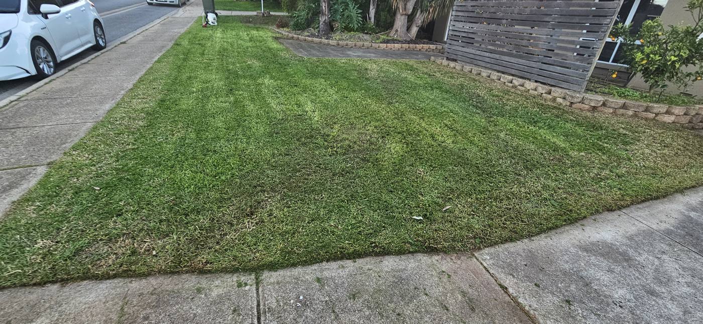 After: freshly mowed front yard lawn with clean edges