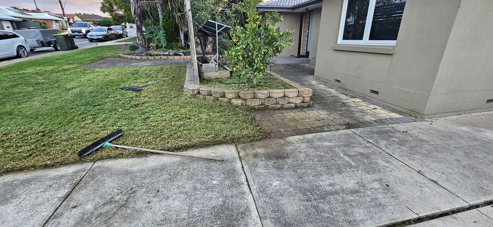 After: freshly mowed, tidy lawn in north-east Adelaide