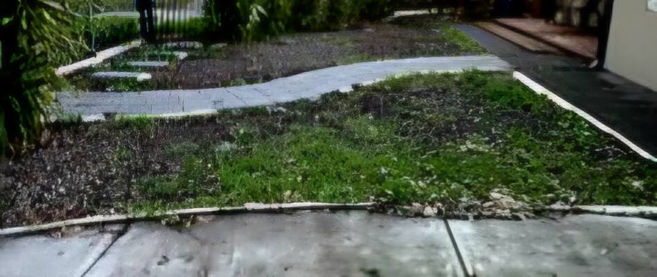 Before: weedy front yard with overgrown garden beds