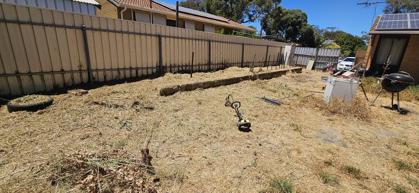 After: backyard cleared and whipper-snipped